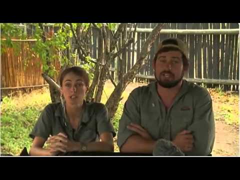 Jan 14 WildEarth Sunset SafariLIVE, Rain Djuma Cam