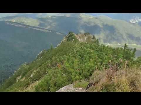 IN ZONA BRAUL MARE AL MORARULUI PE CREASTA