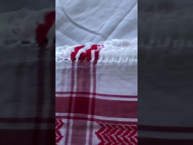 شماغ هدب الأصلي الإصدار ثاني قديم  اردني مقاس 55  مع كثله