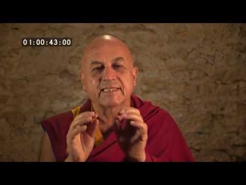 Waarom ik mijn vrienden niet opeet - Boekenwereld