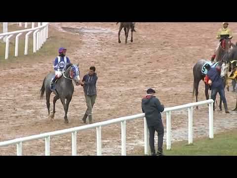 SINT MELO 220623 c07- NORTH STORM