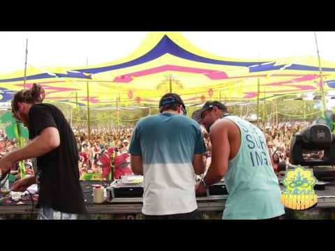 Equilibrium Woodstock - Boomers