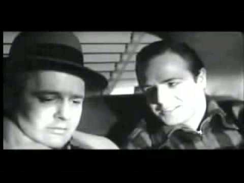 I Could Have Been A Contender