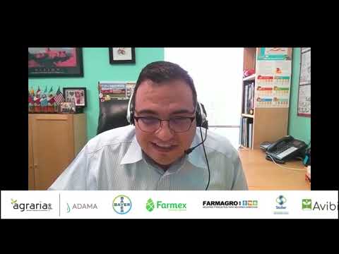 Foro "El mango peruano para el mundo"