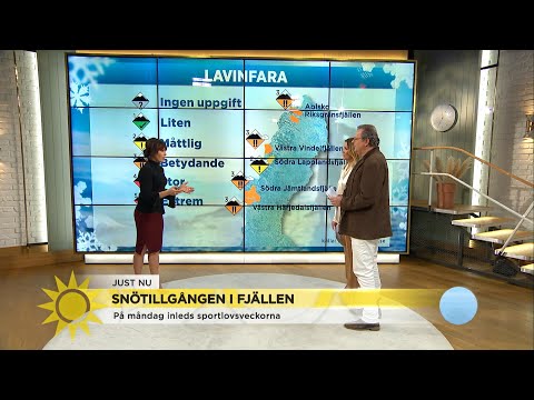 Nu råder lavinfara i fjällen: ”Närmsta dagarna är besvärliga” - Nyhetsmorgon (TV4)