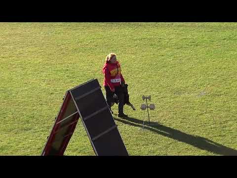 WUSV 2021  POL 3 -  ILONA SEDLACZEK BROCKA & DEE DEE WOLKAR B 77