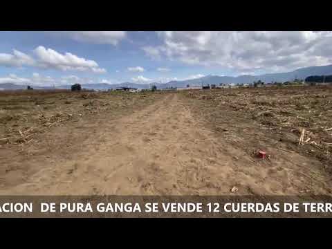 SE  VENDE 12 CUERDAS DE TERRENO EN URBINA CANTEL QUETZALTENANGO