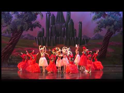 The Wizard of Oz 2016 | Part 2 - Ballet Western Reserve