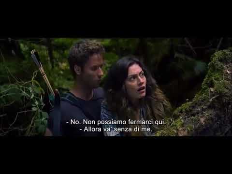 billionaire ransom sei stanca