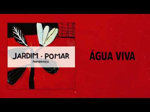 Video thumbnail for Água-viva