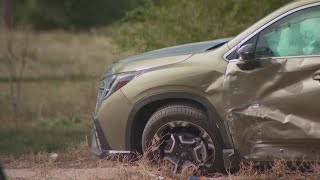 Car theft suspect runs away after crash