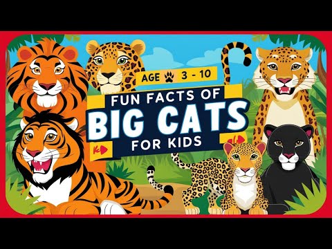 Learn wild animals | Animals for Kids |  | Big Cats for Kids | Lions for Kids |  Tigers for kids