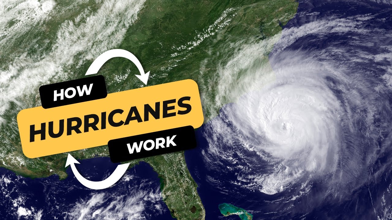 Discovering hurricanes: The science behind nature's epic storms explained | | CBC Kids News