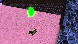 The Sims 3 Pets: Dog giving Birth