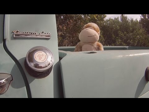 download lagu mp3 mp4 Sam Means, download mp3 Sam Means free downloadn, video klip Sam Means