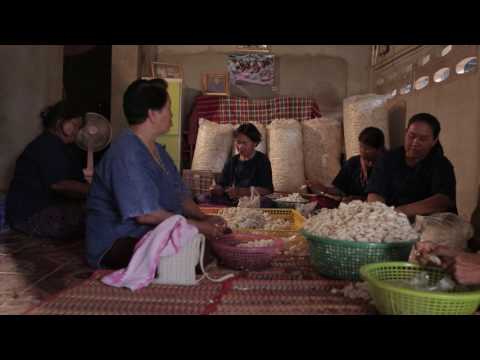 Eri Silk Trailer : Introduction to Why Eri silk is important?