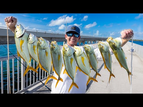 World's BEST Fishing Spot... Catch Clean Cook (Florida Keys Bridge Fishing)