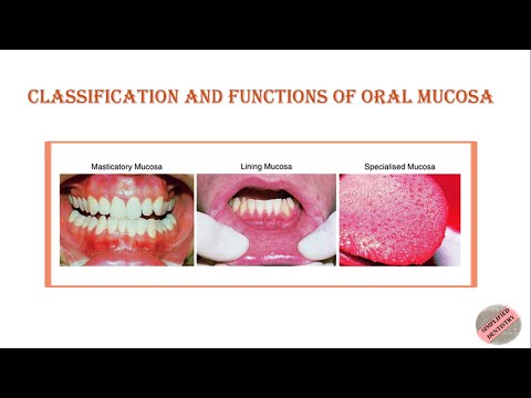 Classification & Functions of Oral Mucosa| Oral Mucous Membrane|  #dental #bds #dentistry #bds