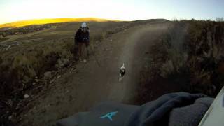 Лили: собака-фрирайдер!