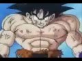 Dragon Ball Z 300