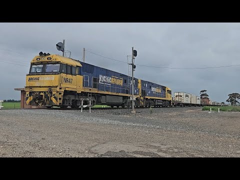 1AM5 PN up "Linfox Express #1" (NR47, NR87), Adelaide to Melbourne, 1100, 21/9/25, Dooen VIC 