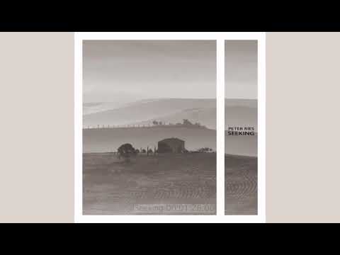 Peter Ries - Seeking