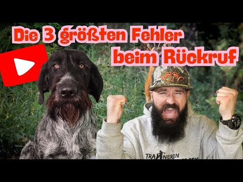 The 3 biggest mistakes when recalling your dog - with hunting dog expert Dennis Panthen