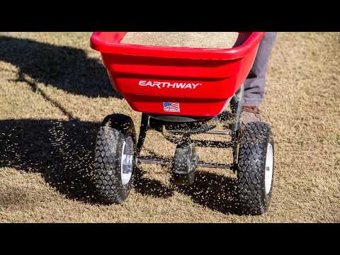 How To Overseed Bermuda Grass With Perennial Ryegrass