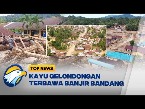 Kayu-Kayu Raksasa Muncul dari Banjir… Ada Apa di Hulu? - [Top News]