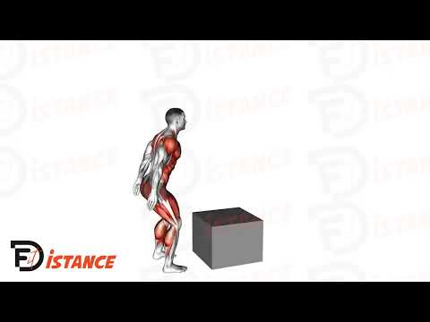Exercice Jump squats sur une box - Squat sautés sur box