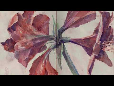 @ionbogdanstefanescu  Rachmaninov - Spring Waters