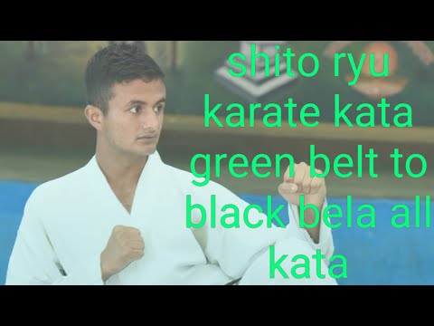 Shito-ryu karate kata orange belt to black belt all kata 2020 group kata