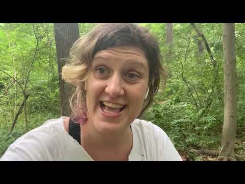 PARTE 5 - Inizio con racconti delle mie visioni etc … Ayahuasca