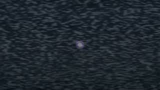 Sonic - The DCV - Tape #0 : Xanthus' Beginnings