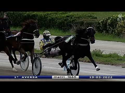 Aversa trotto 19 Marzo 2022 - 1° Corsa