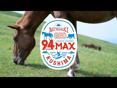 【94MAX】都井岬の野生馬