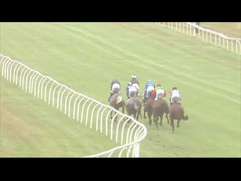 Shadwell Dubai International Stakes (Group 1 PA) - Newbury 29th July Race 6