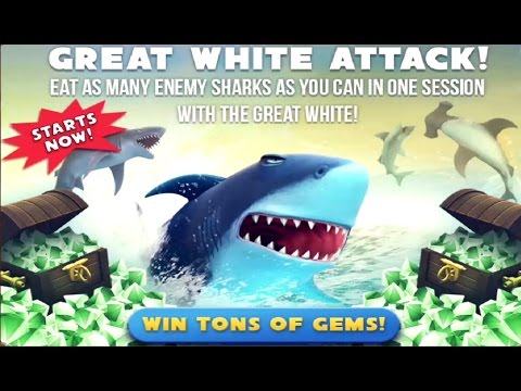 Great White Attack! New Live Event - Hungry Shark Evolution