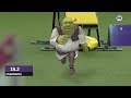 Shrek agility