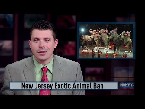 NJ Exotic Animal Ban