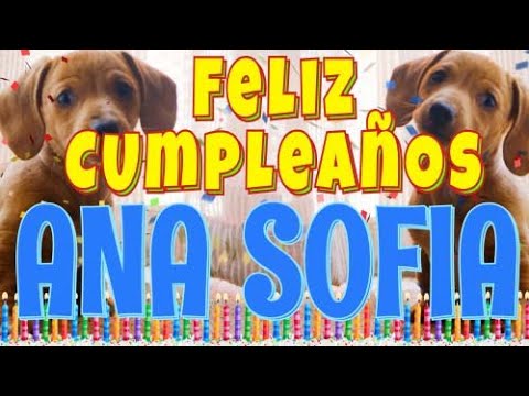 ¡Feliz Cumpleaños Ana Sofia! (Perros hablando gracioso) ¡Muchas Felicidades!