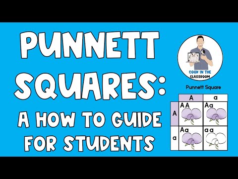 Punnett Squares:  A Student How to Guide