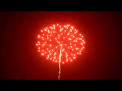 PFP11416   100mm Shell   Orange Peony