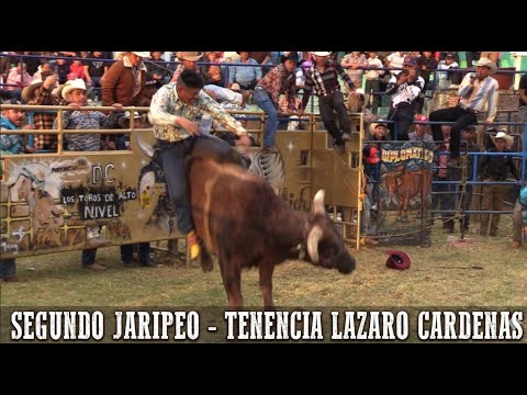 SEGUNDO DIA DE JARIPEO - LA TENENCIA LAZARO CARDENAS - 29 DE DICIEMBRE 2025