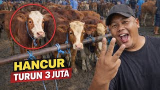 Download lagu HARGA PEDETAN JANTAN HANCUR ‼️TURUN 3 JUTA PASAR PON NGANJUK mp3