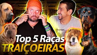 Miniatura do vídeo