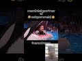 Jessica Radcliffe Accident Original Video Jessica Dolphin Show Incident Jessica​ Dolphin​ Shorts