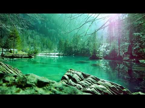 Top 5 Unreleased Mix | 2024 Week 11 | Like Mike, Jalal Ramdani, Francis Mercier, Pablo Fierro, Vanco