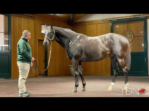 Back From Korea, Take Charge Indy Settles in Again at WinStar