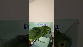 Como é grande meu amor por você .
